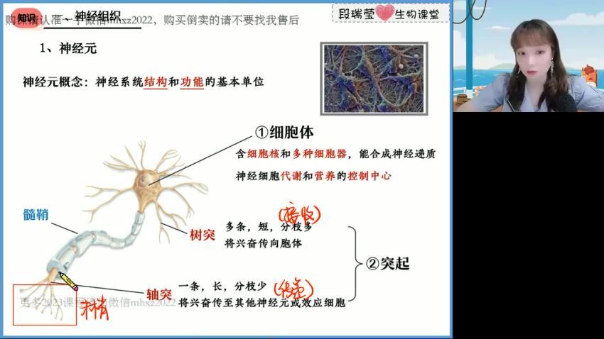 2023高徒高二生物段瑞莹秋季班，百度网盘分享