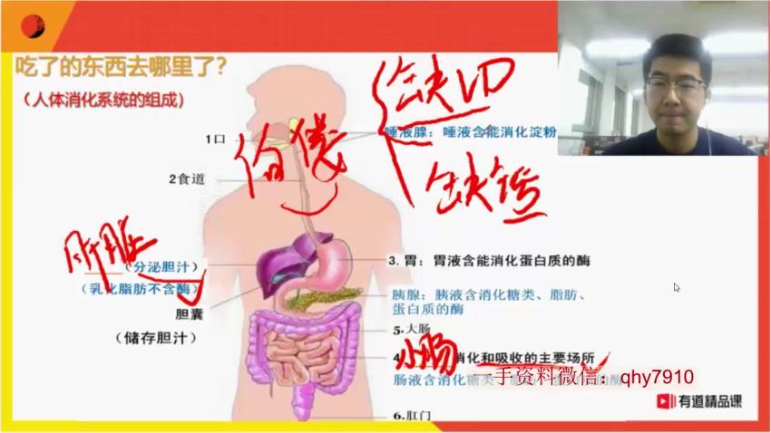 有道精品课 孙佳佳 2021初中生物模块强化全套，百度网盘分享