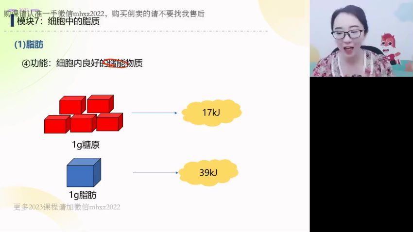 2023高徒高一生物马阳洋暑假班，百度网盘分享