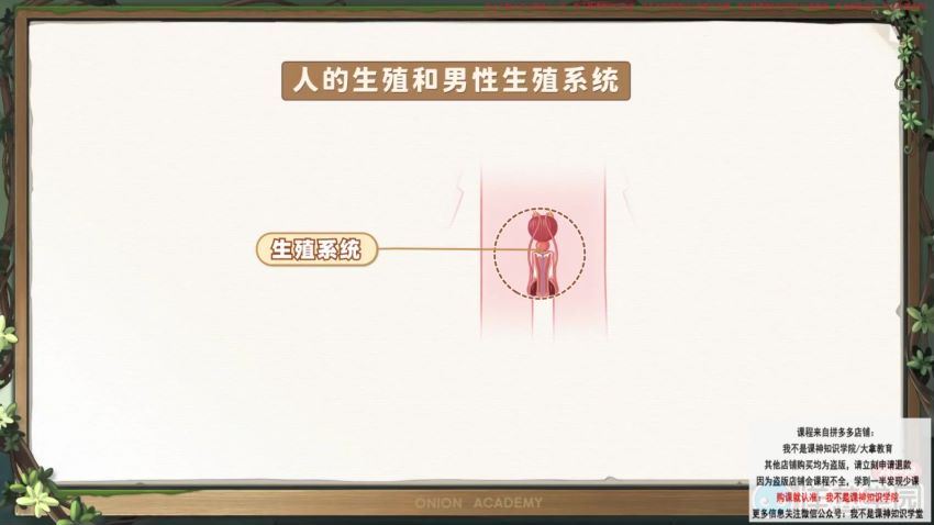 洋葱学园2023人教版初中生物七年级下册（初一）（1.06G高清视频），百度网盘分享