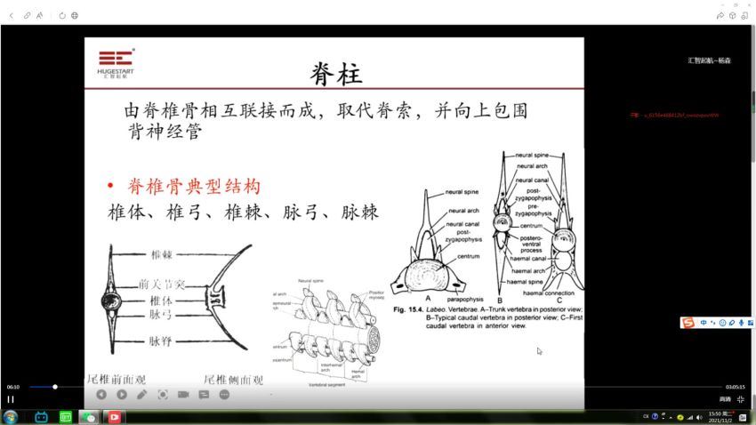 汇智2021国庆十一期间生物竞赛 C1-1基础课（武汉）（8.38G高清视频），百度网盘分享