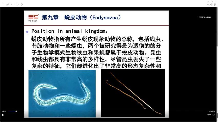 汇智2021国庆十一期间生物竞赛 C1-1基础课（武汉）（8.38G高清视频），百度网盘分享