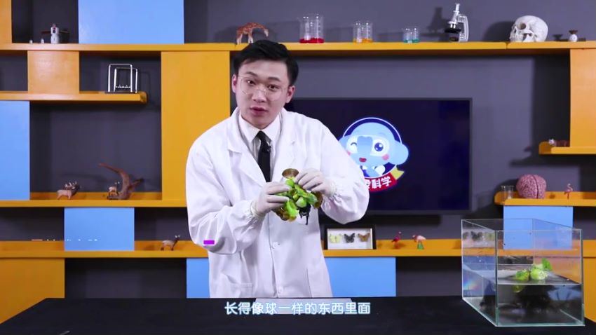 小象科学三年级上同步科学课（59节）（960×540视频），百度网盘分享