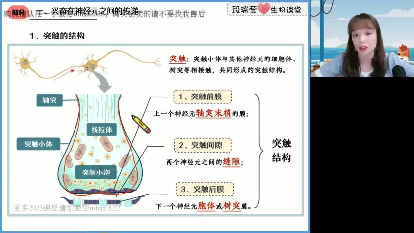 2023高徒高二生物段瑞莹秋季班，百度网盘分享