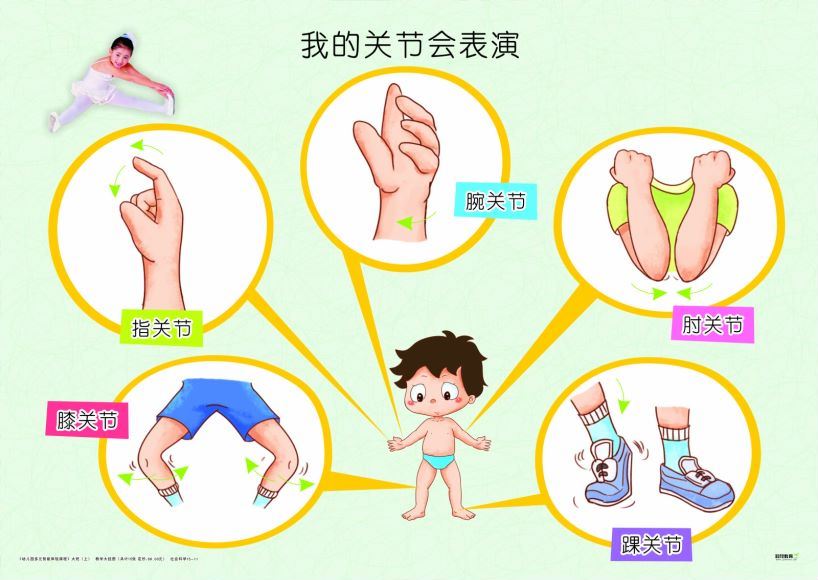 幼儿园【多元智能】课程全套，百度网盘分享