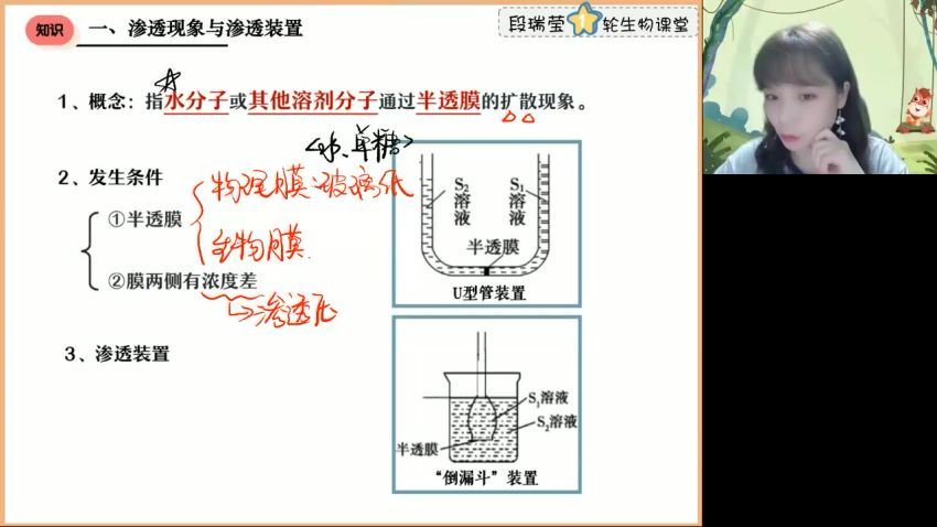 2023高徒高三生物段瑞莹（复读班）暑假班，百度网盘分享