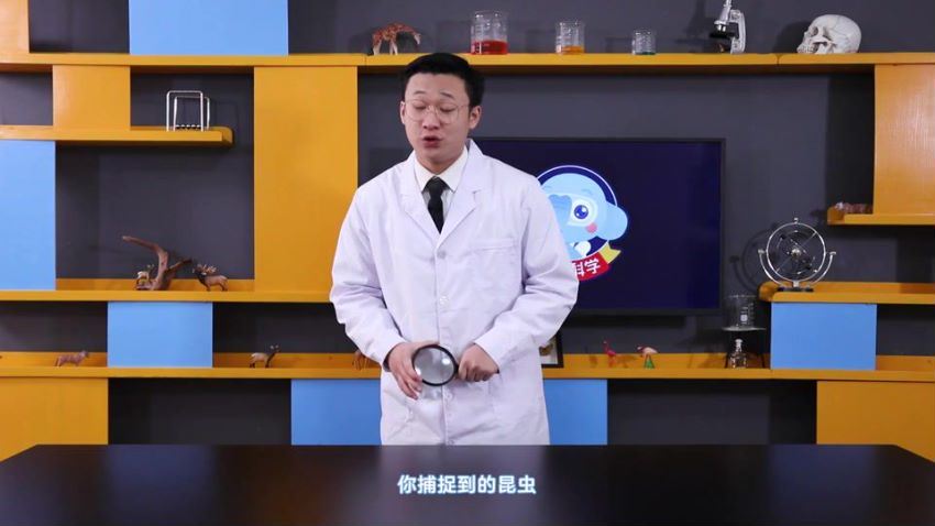 小象科学六年级下同步科学课（32节）（960×540视频），百度网盘分享