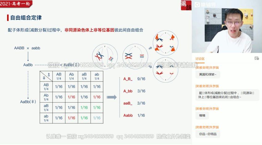 张鹏2021生物秋季班(重名2) (60.59G)，百度网盘分享